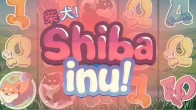 shiba inu